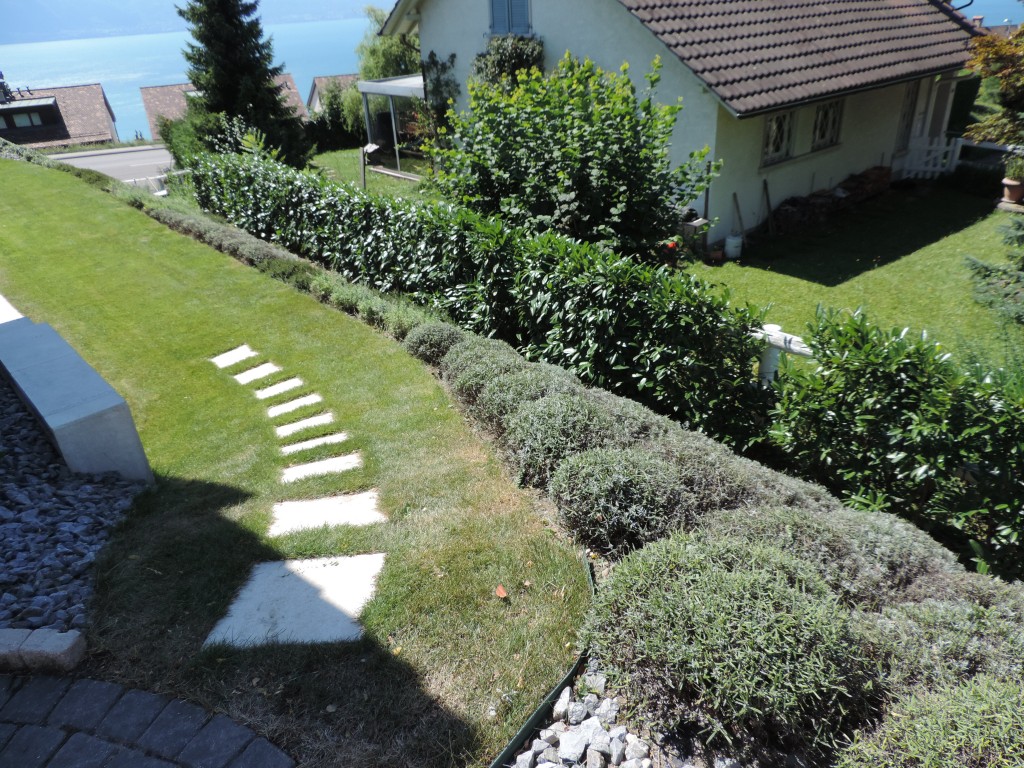 Elagage arbre