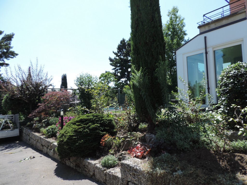 Autorisation abattage arbre Lausanne Autorisation abattage arbre Lausanne